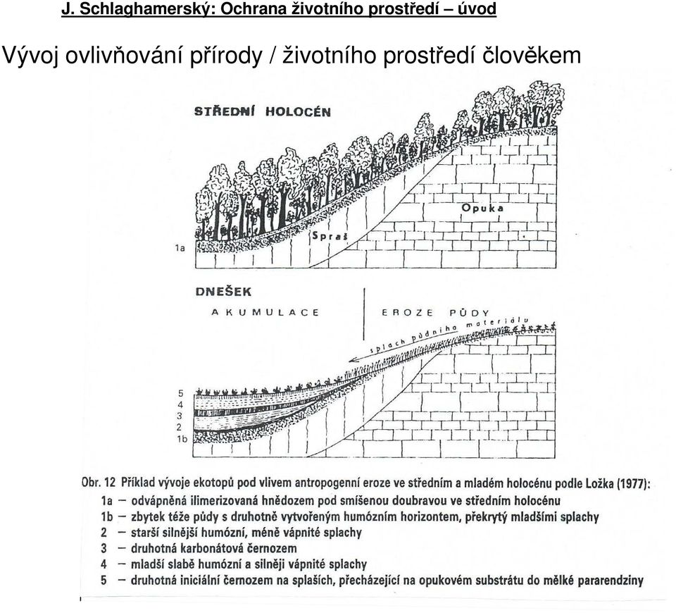 přírody /