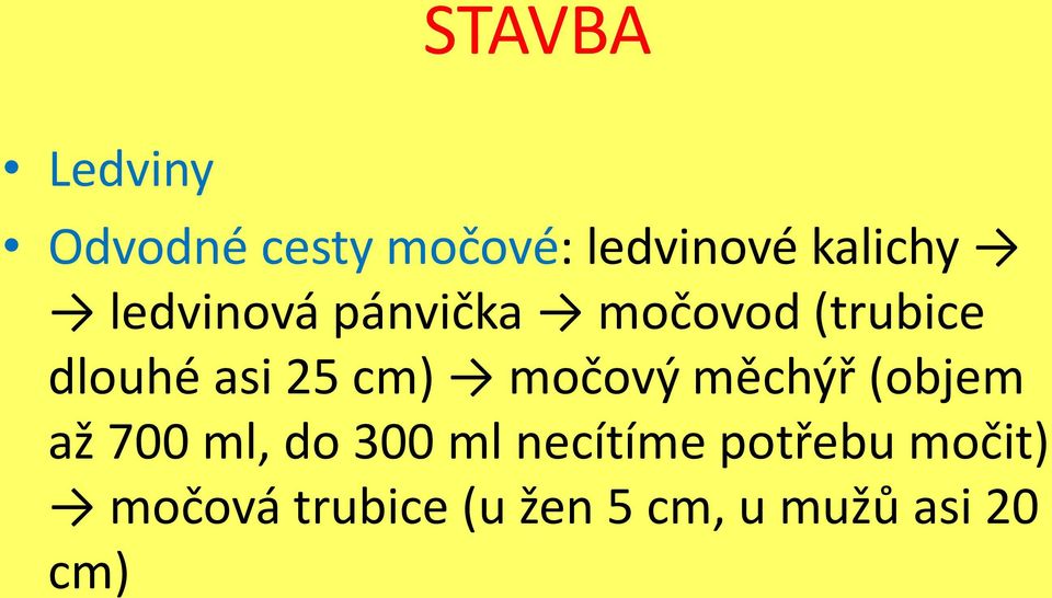 močový měchýř (objem až 700 ml, do 300 ml necítíme