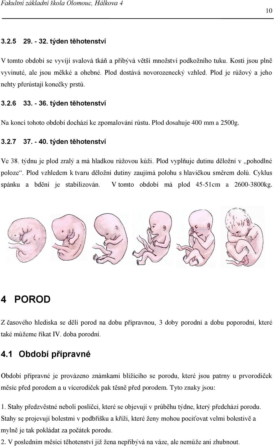 Plod dosahuje 400 mm a 2500g. 3.2.7 37. - 40. týden těhotenství Ve 38. týdnu je plod zralý a má hladkou růžovou kůži. Plod vyplňuje dutinu děložní v pohodlné poloze.