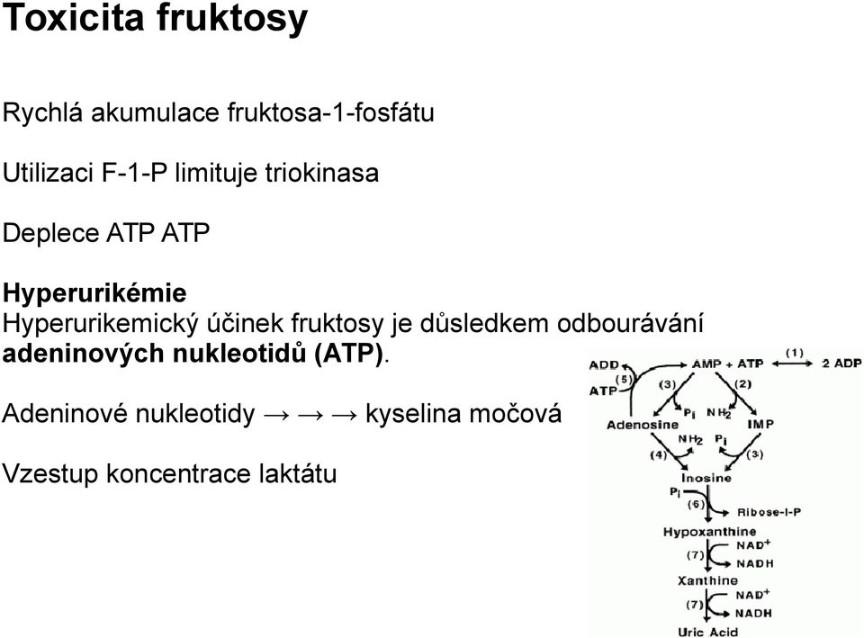 Hyperurikemický účinek fruktosy je důsledkem odbourávání