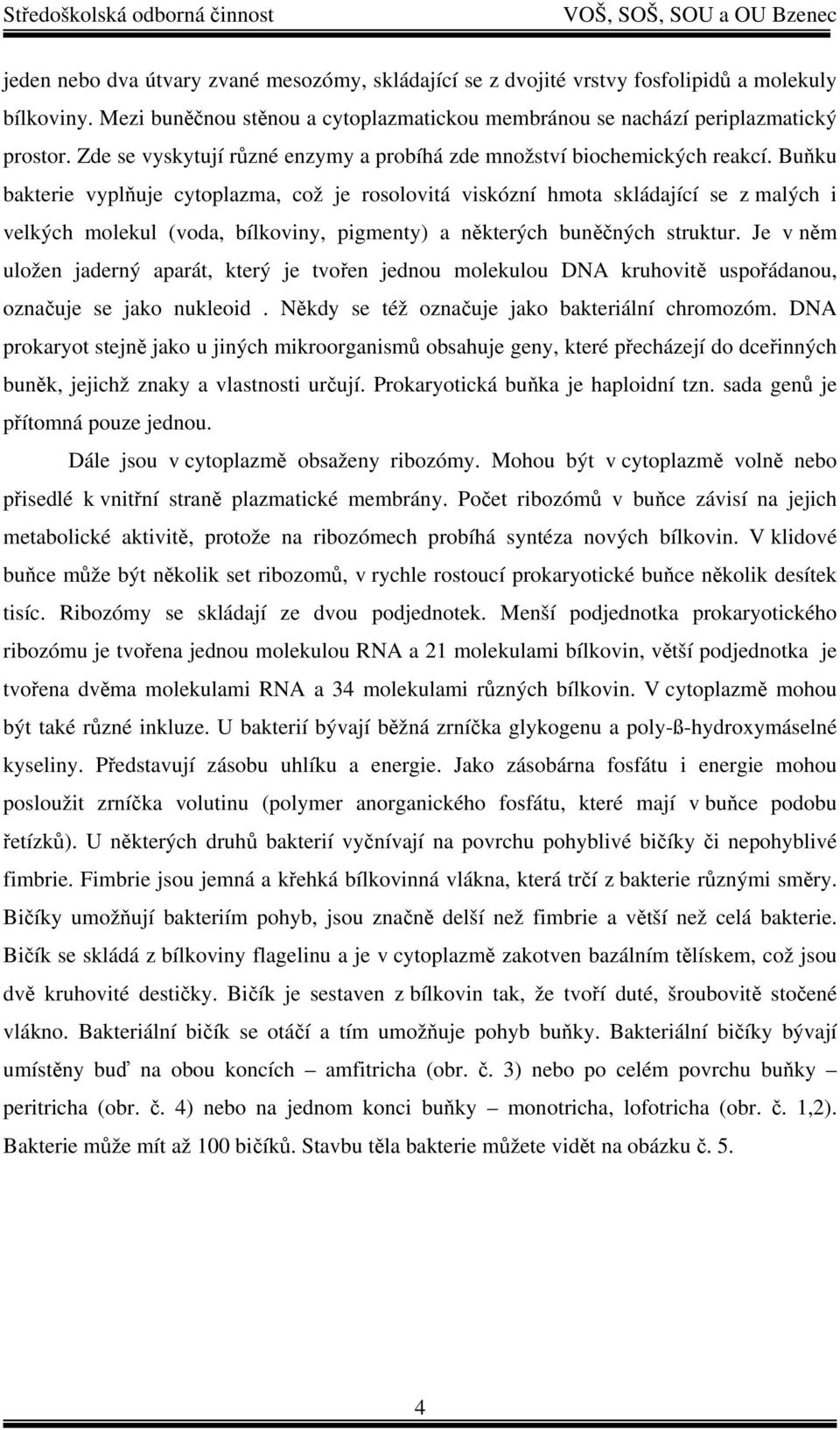 Buňku bakterie vyplňuje cytoplazma, což je rosolovitá viskózní hmota skládající se z malých i velkých molekul (voda, bílkoviny, pigmenty) a některých buněčných struktur.