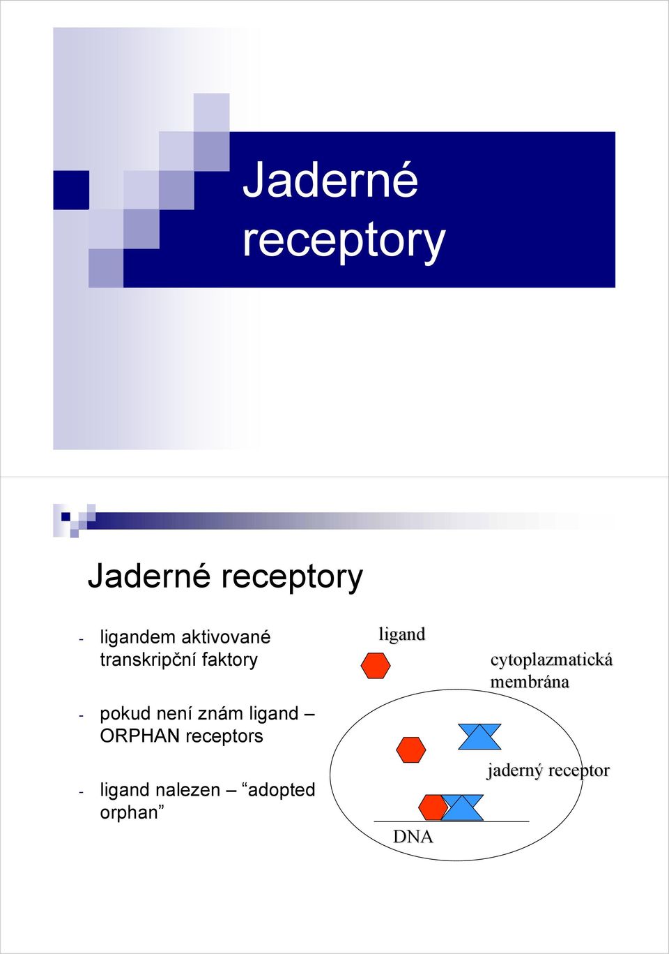 ligand ORPHAN receptors - ligand nalezen adopted