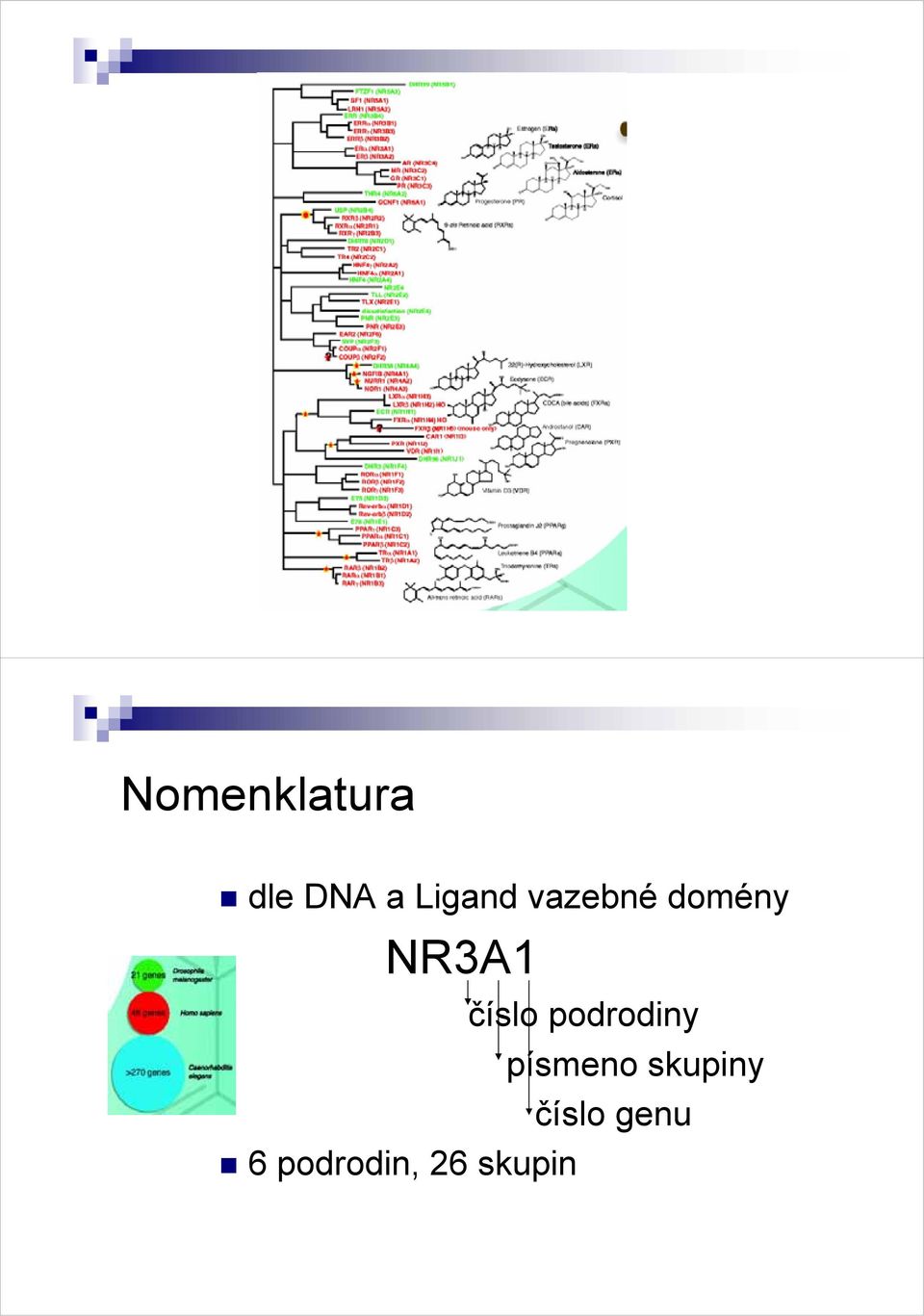 číslo podrodiny písmeno