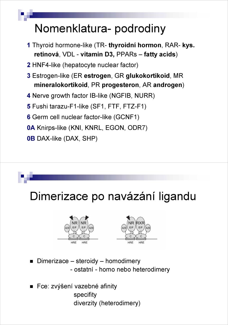 mineralokortikoid, PR progesteron, AR androgen) 4 Nerve growth factor IB-like (NGFIB, NURR) 5 Fushi tarazu-f1-like (SF1, FTF, FTZ-F1) 6 Germ cell nuclear