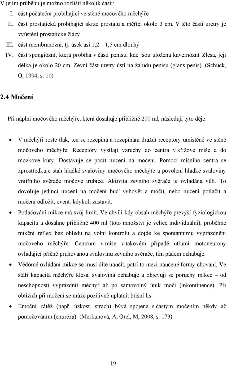 část spongiózní, která probíhá v části penisu, kde jsou uložena kavernózní tělesa, její délka je okolo 20 cm. Zevní část uretry ústí na žaludu penisu (glans penis). (Schück, O, 1994, s. 10) 2.