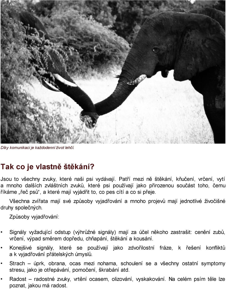 přeje. Všechna zvířata mají své způsoby vyjadřování a mnoho projevů mají jednotlivé živočišné druhy společných.