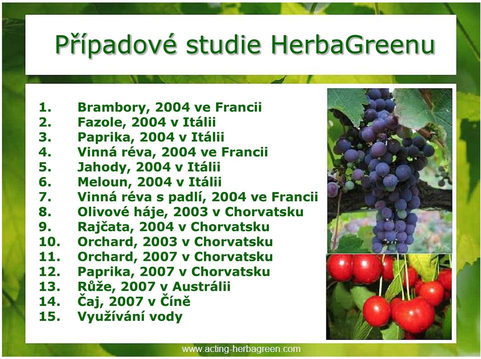 Olivové háje, 2003 v Chorvatsku 9. Rajčata, 2004 v Chorvatsku 10. Orchard, 2003 v Chorvatsku 11.