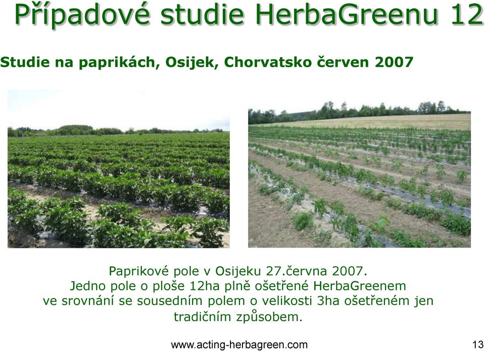 Jedno pole o ploše 12ha plně ošetřené HerbaGreenem ve srovnání se