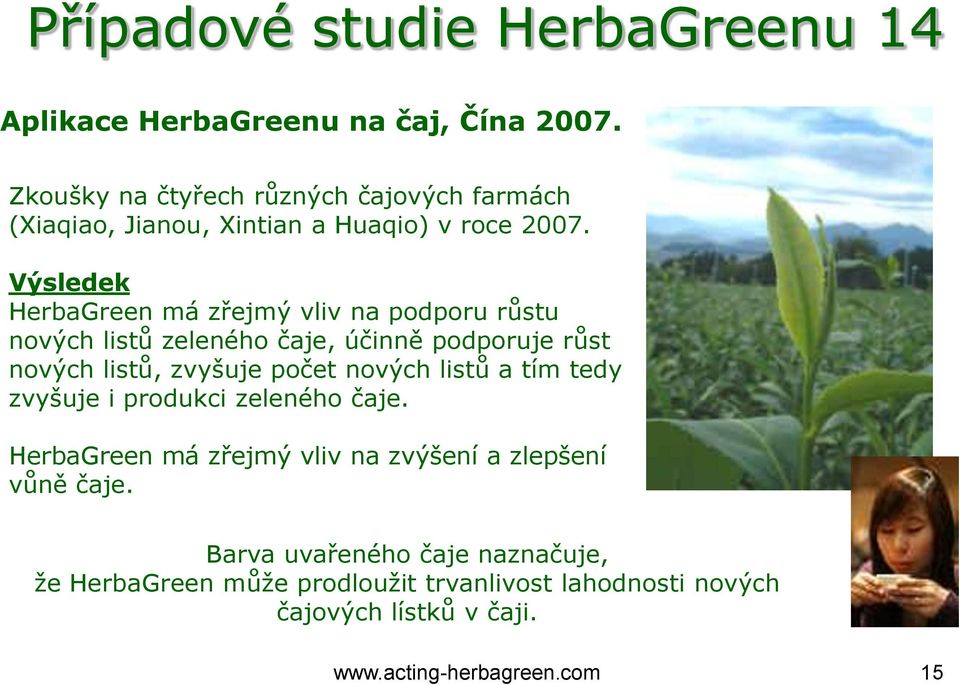 Výsledek HerbaGreen má zřejmý vliv na podporu růstu nových listů zeleného čaje, účinně podporuje růst nových listů, zvyšuje počet nových