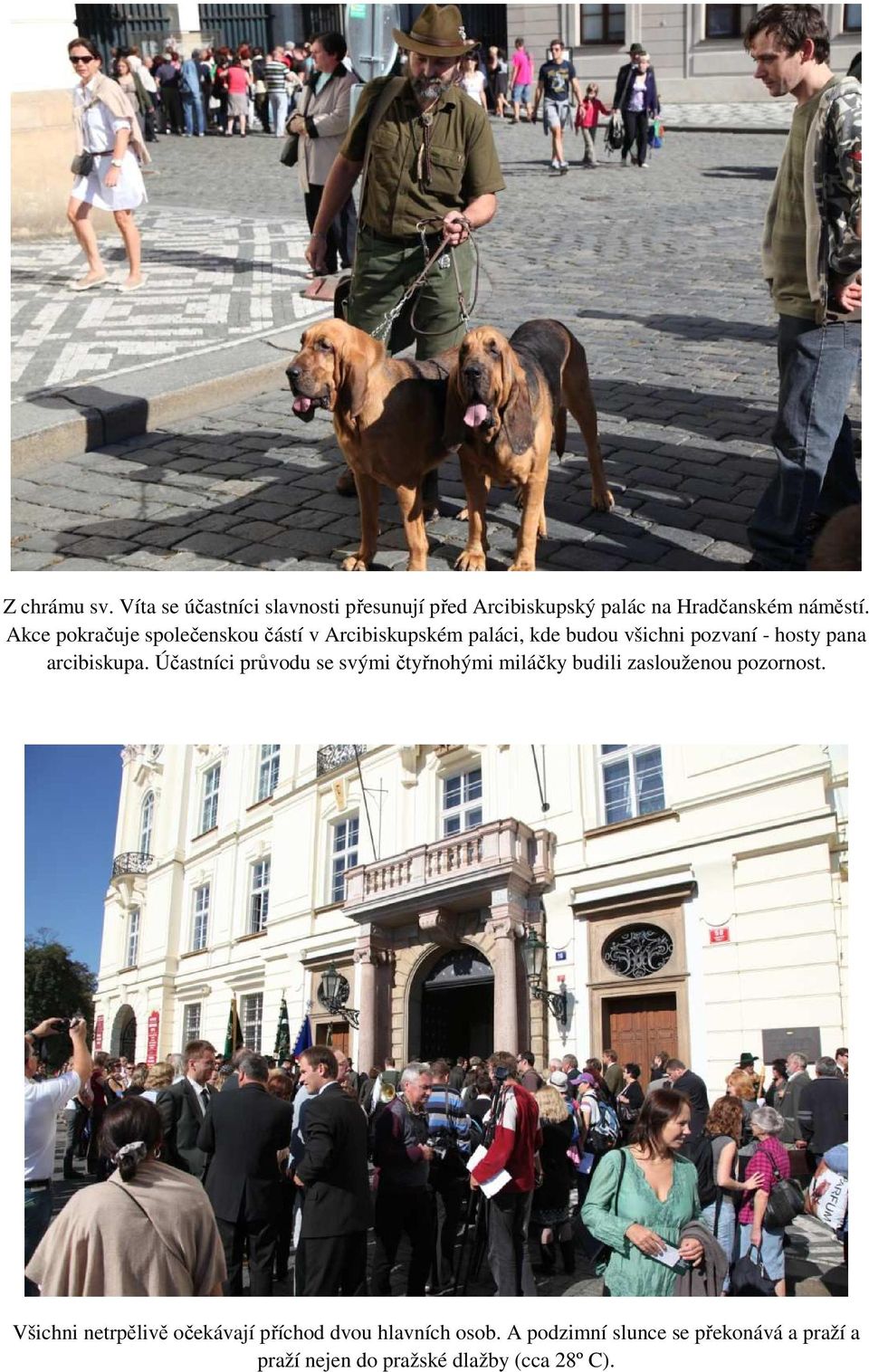 arcibiskupa. Účastníci průvodu se svými čtyřnohými miláčky budili zaslouženou pozornost.