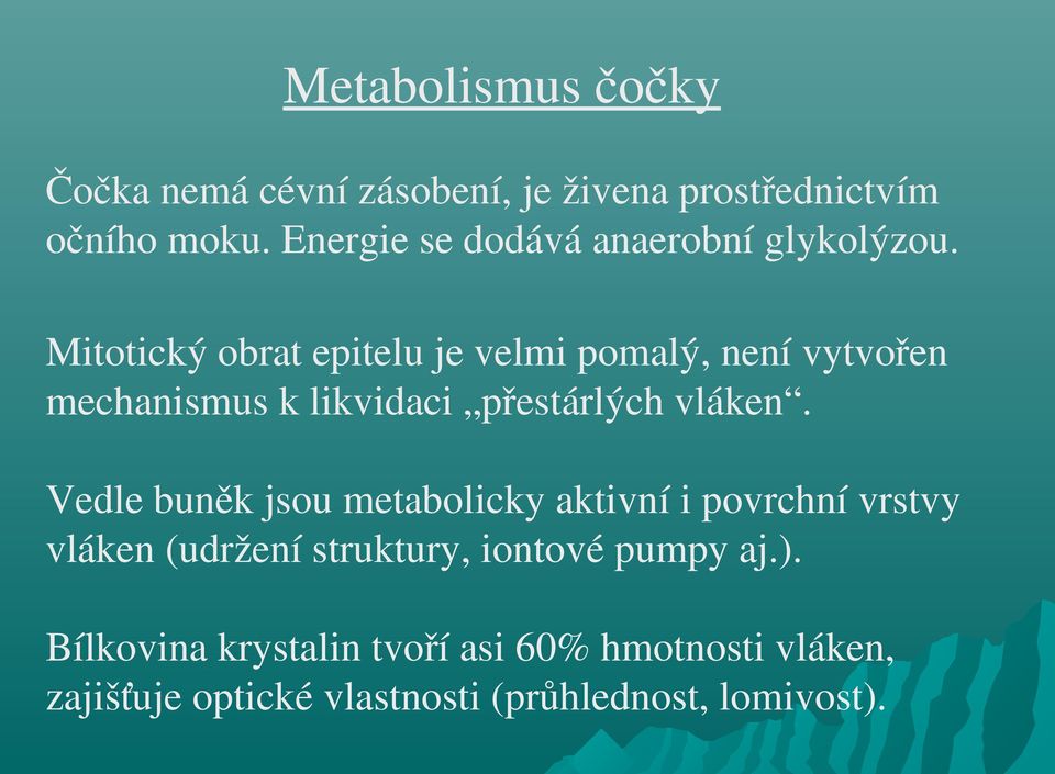 Mitotický obrat epitelu je velmi pomalý, není vytvořen mechanismus k likvidaci přestárlých vláken.