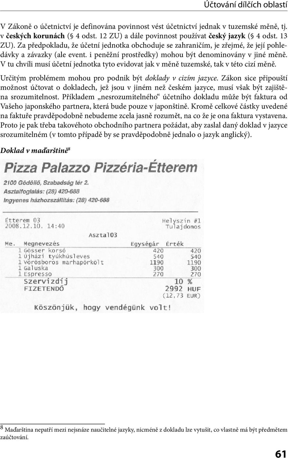 V tu chvíli musí účetní jednotka tyto evidovat jak v měně tuzemské, tak v této cizí měně. Určitým problémem mohou pro podnik být doklady v cizím jazyce.