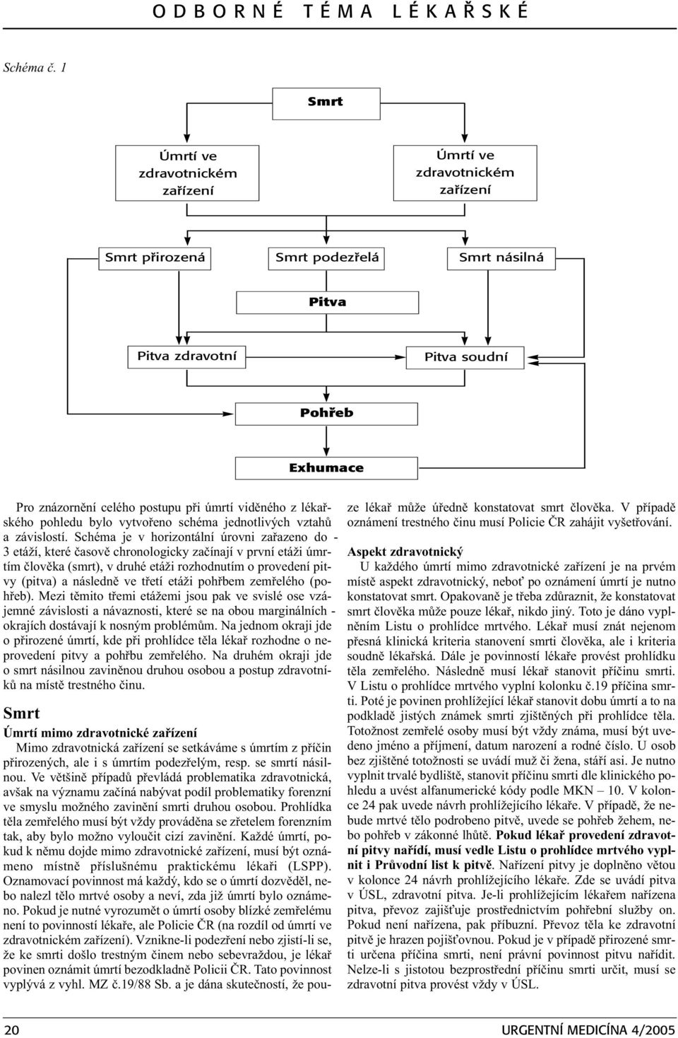 úmrtí vidìného z lékaøského pohledu bylo vytvoøeno schéma jednotlivých vztahù a závislostí.