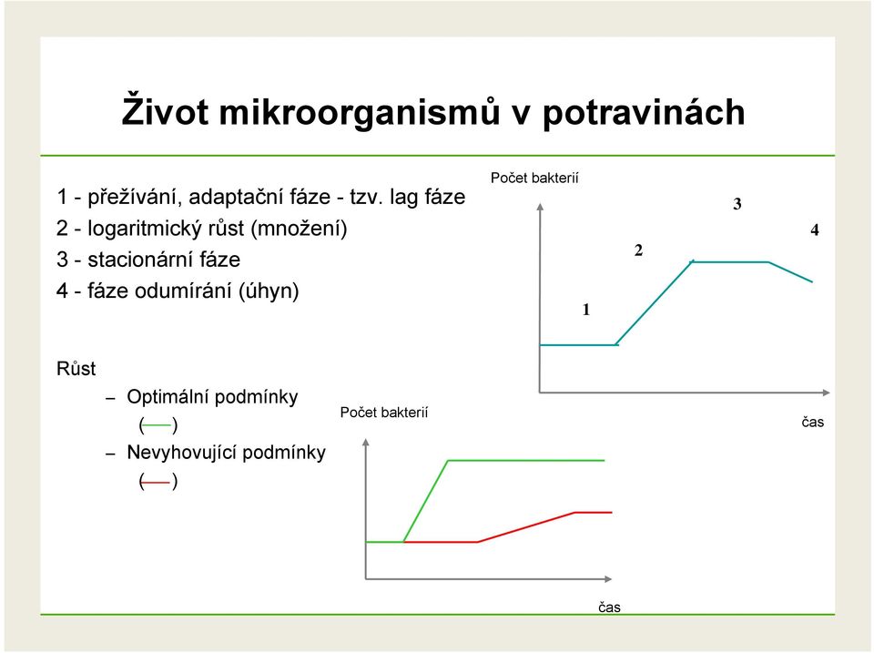 lag fáze 2 - logaritmický růst (množení) 3 - stacionární fáze