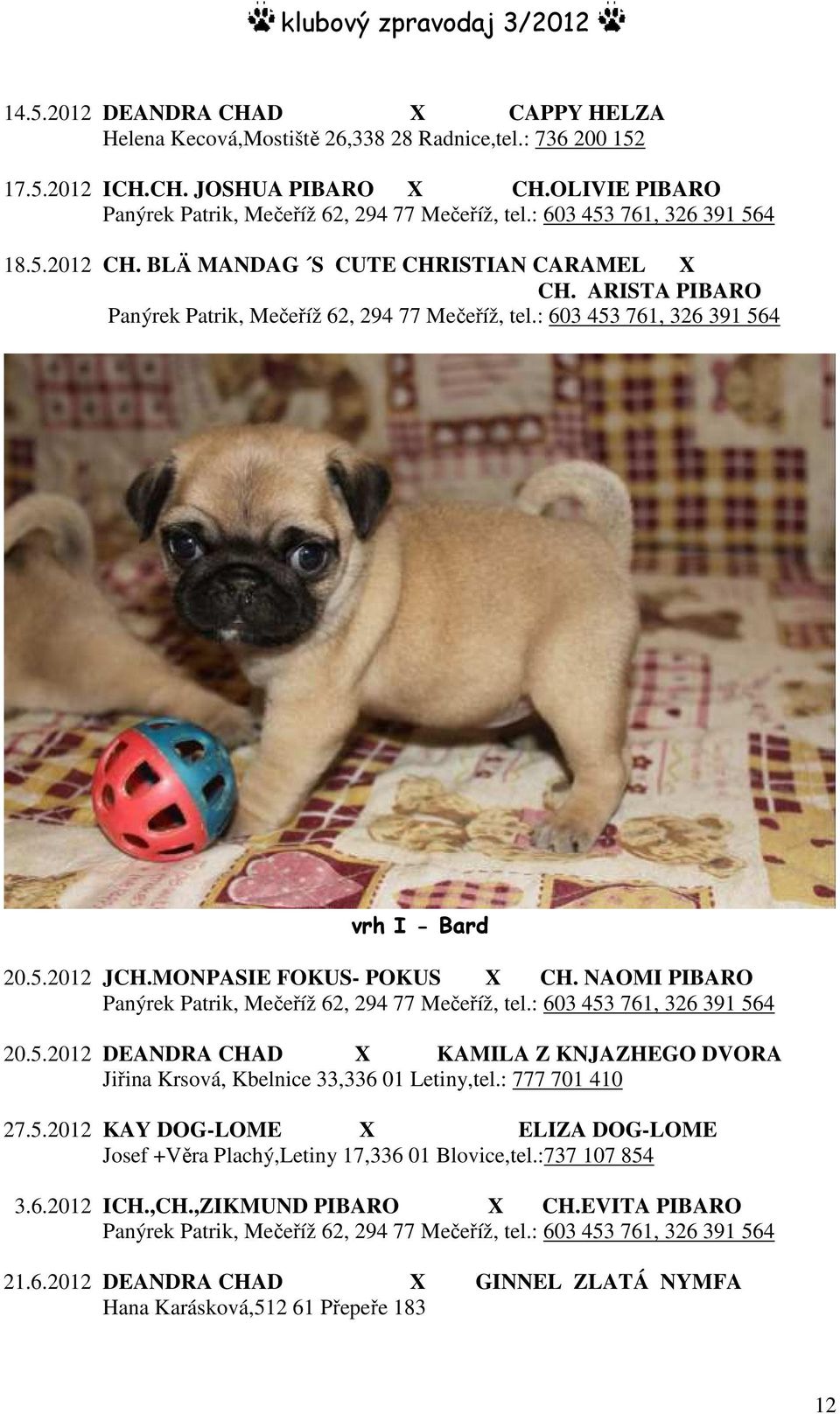 MONPASIE FOKUS- POKUS X CH. NAOMI PIBARO Panýrek Patrik, Mečeříž 62, 294 77 Mečeříž, tel.: 603 453 761, 326 391 564 20.5.2012 DEANDRA CHAD X KAMILA Z KNJAZHEGO DVORA Jiřina Krsová, Kbelnice 33,336 01 Letiny,tel.