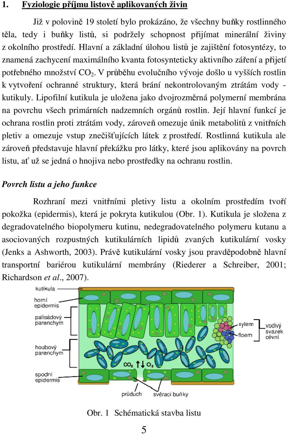 V průběhu evolučního vývoje došlo u vyšších rostlin k vytvoření ochranné struktury, která brání nekontrolovaným ztrátám vody - kutikuly.