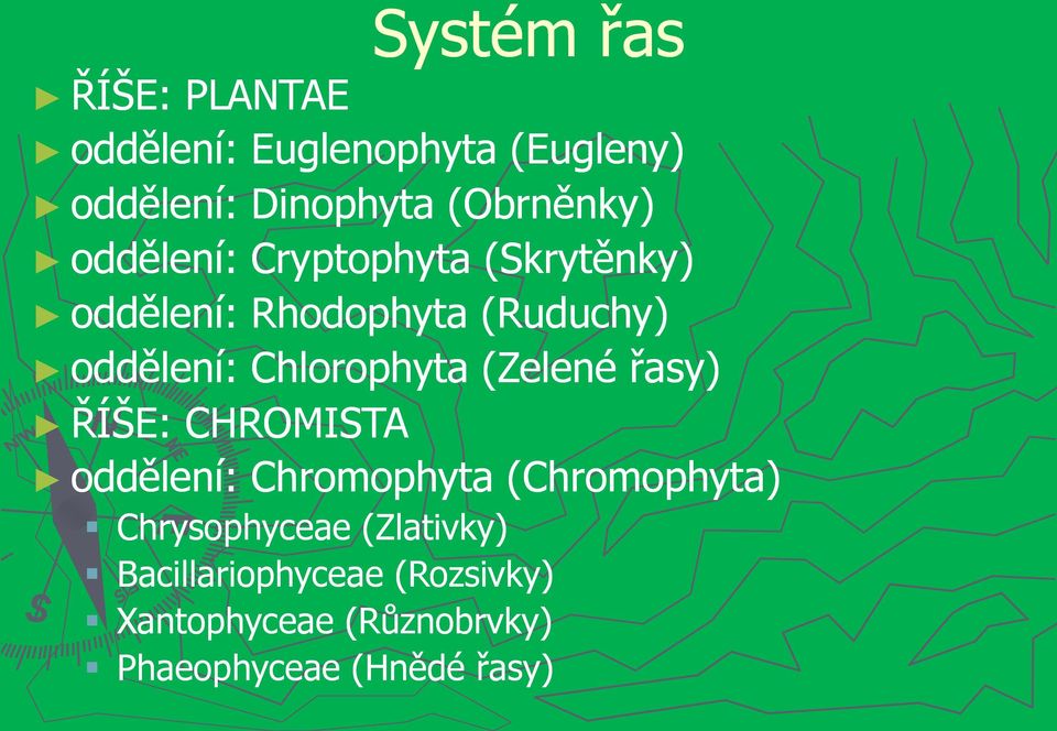 Chlorophyta (Zelené řasy) ŘÍŠE: CHROMISTA oddělení: Chromophyta (Chromophyta)