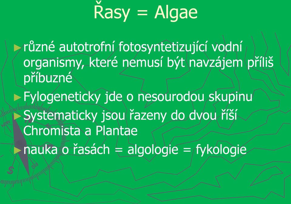 Fylogeneticky jde o nesourodou skupinu Systematicky jsou