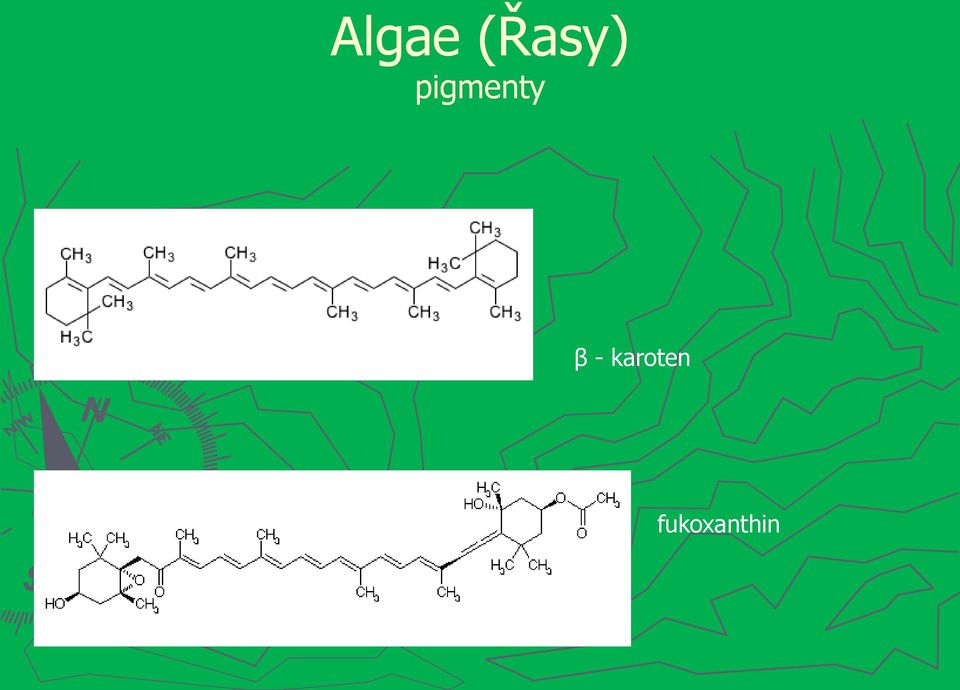 pigmenty β