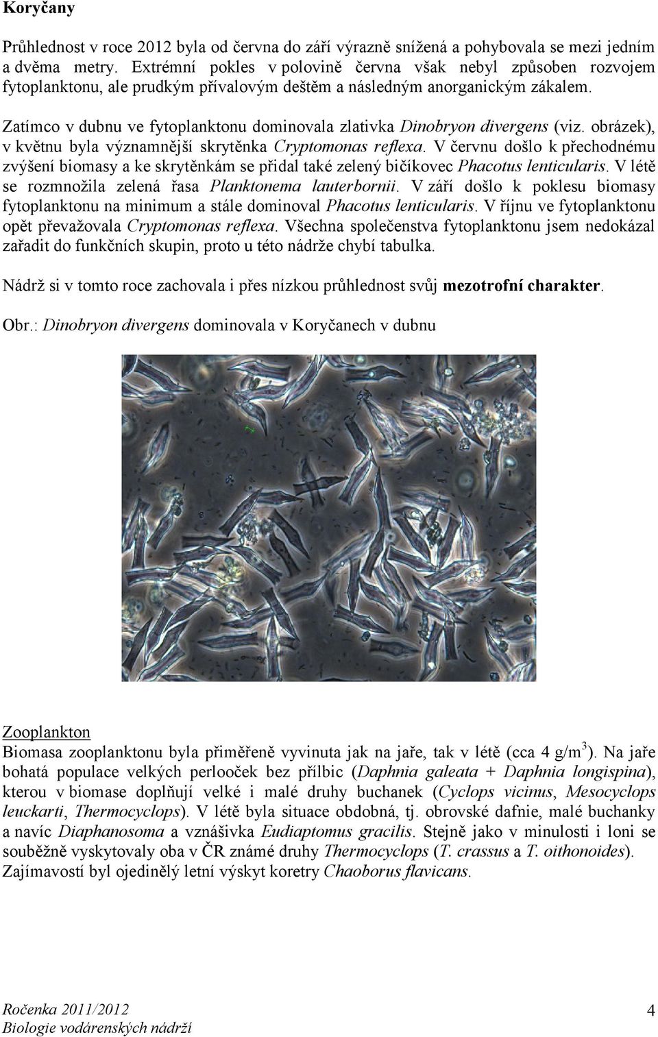 Zatímco v dubnu ve fytoplanktonu dominovala zlativka Dinobryon divergens (viz. obrázek), v květnu byla významnější skrytěnka Cryptomonas reflexa.
