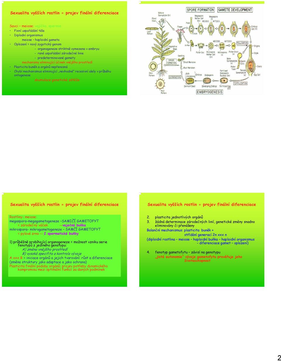 eliminující nevhodné recesivní alely v průběhu ontogenese akumulace genetické zátěže Sexualita vyšších rostlin = projev finální diferenciace Sexualita vyšších rostlin = projev finální diferenciace