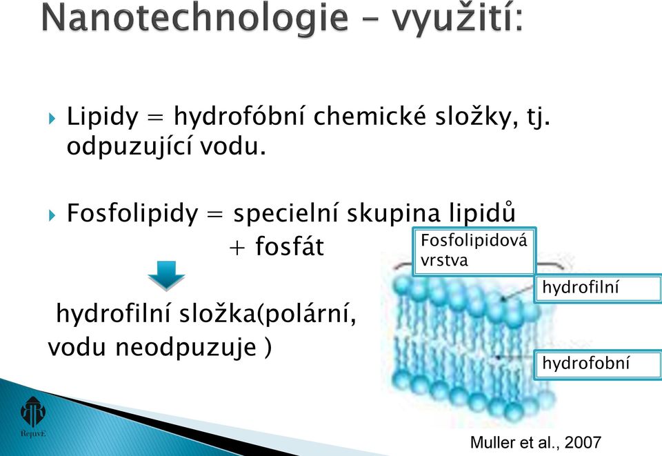 Fosfolipidy = specielní skupina lipidů + fosfát