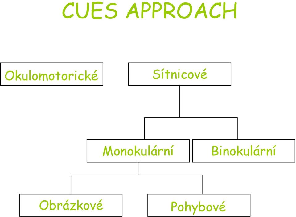 Sítnicové