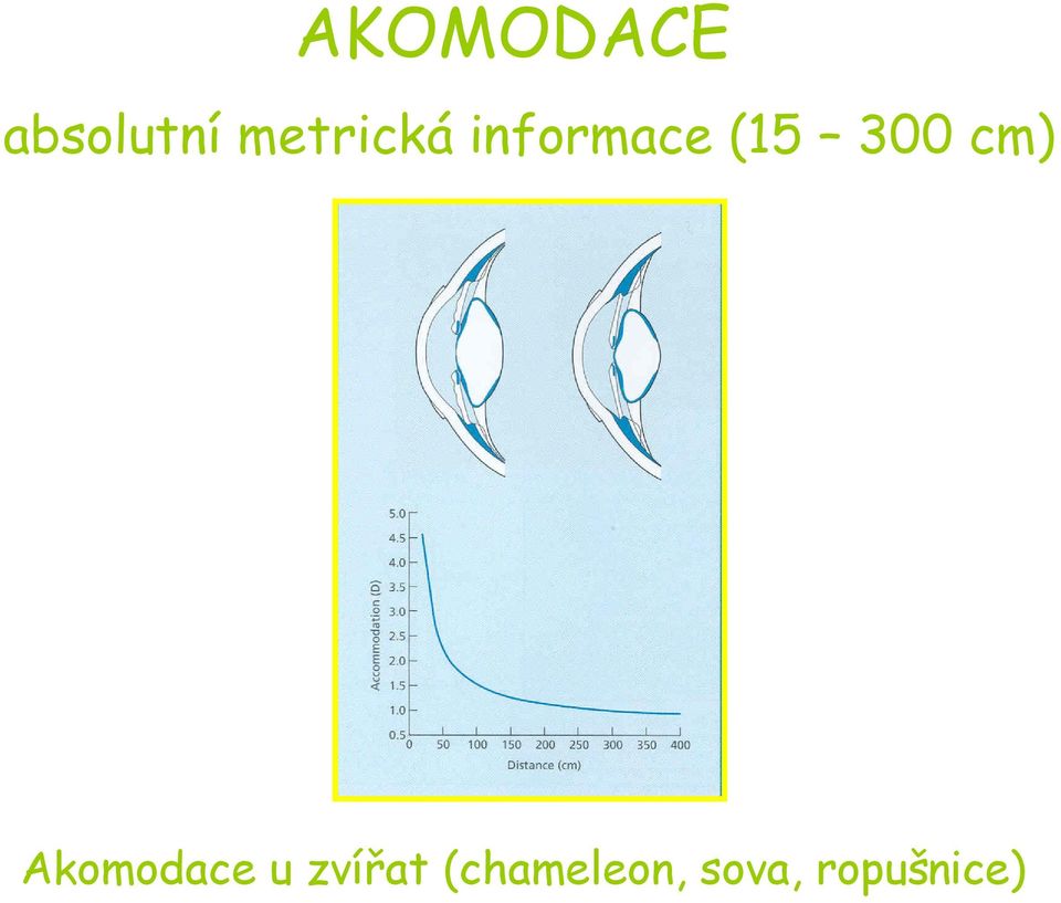 300 cm) Akomodace u