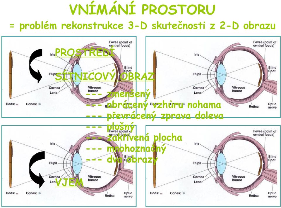 --- obrácený vzhůru nohama --- převrácený zprava doleva