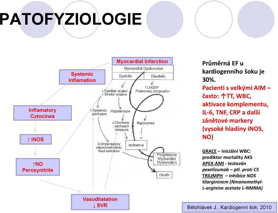 inos, NO) NO Peroxynitrite GRACE iniciální WBC: prediktor mortality AKS APEX-AMI - testován pexelizumab ptl.