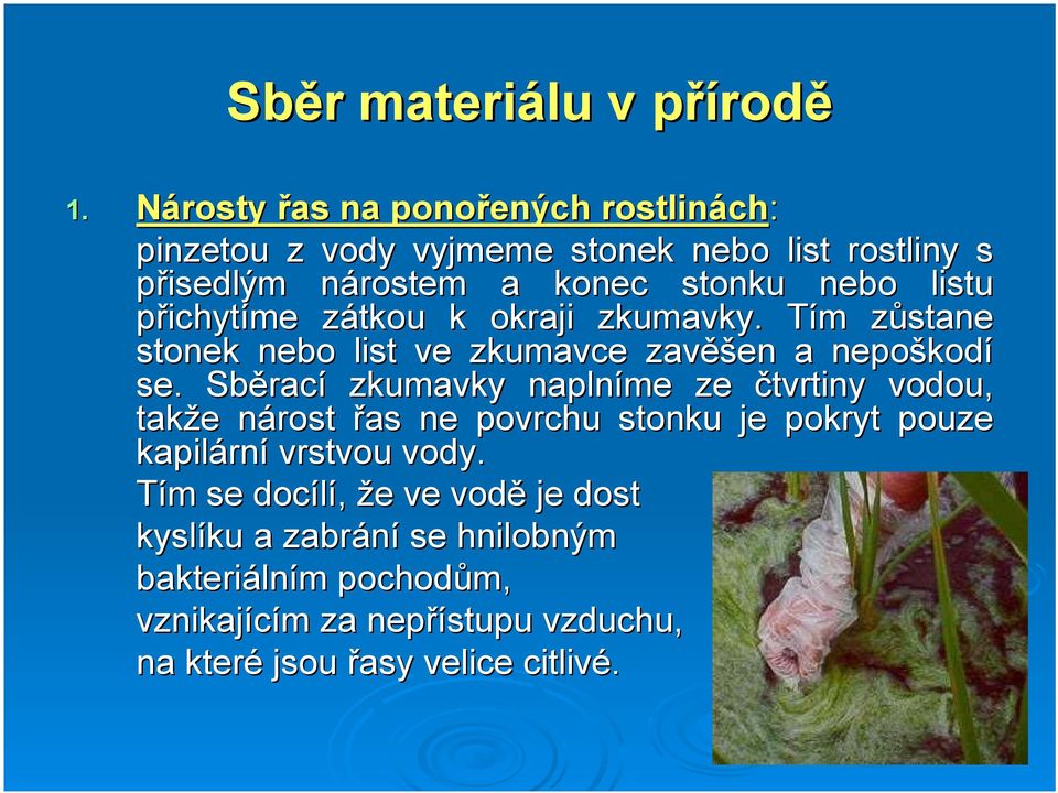 přichytíme zátkou k okraji zkumavky. Tím zůstane stonek nebo list ve zkumavce zavěšen a nepoškodí se.