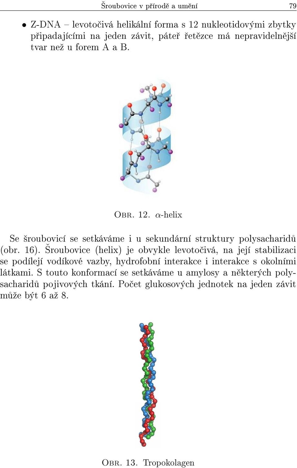 roubovice (helix) je obvykle levoto ivá, na její stabilizaci se podílejí vodíkové vazby, hydrofobní interakce i interakce s okolními látkami.