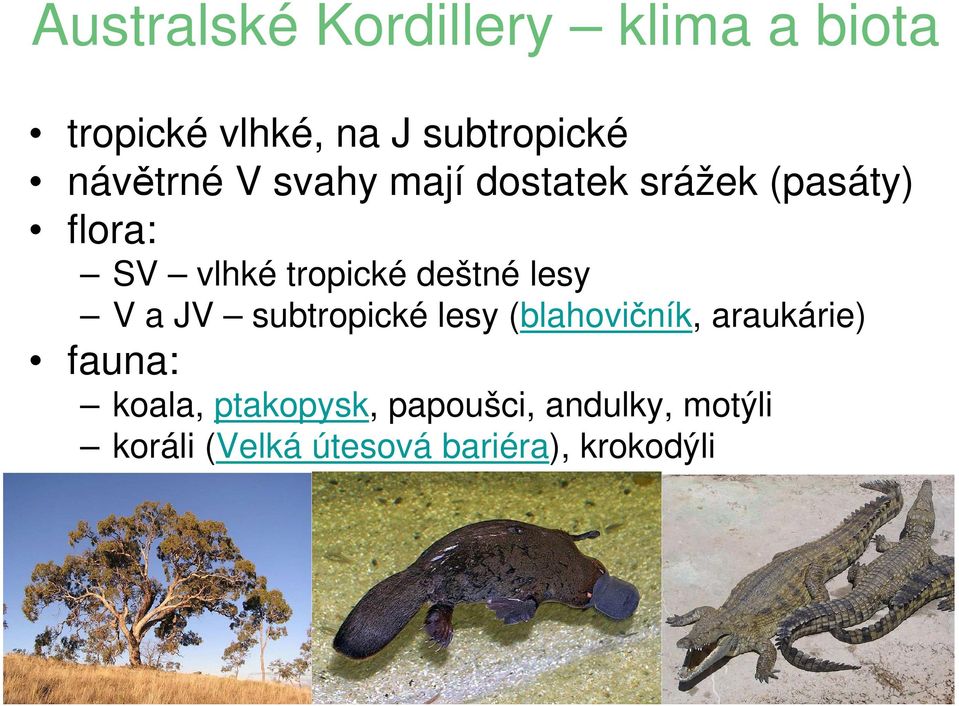 deštné lesy V a JV subtropické lesy (blahovičník, araukárie) fauna: