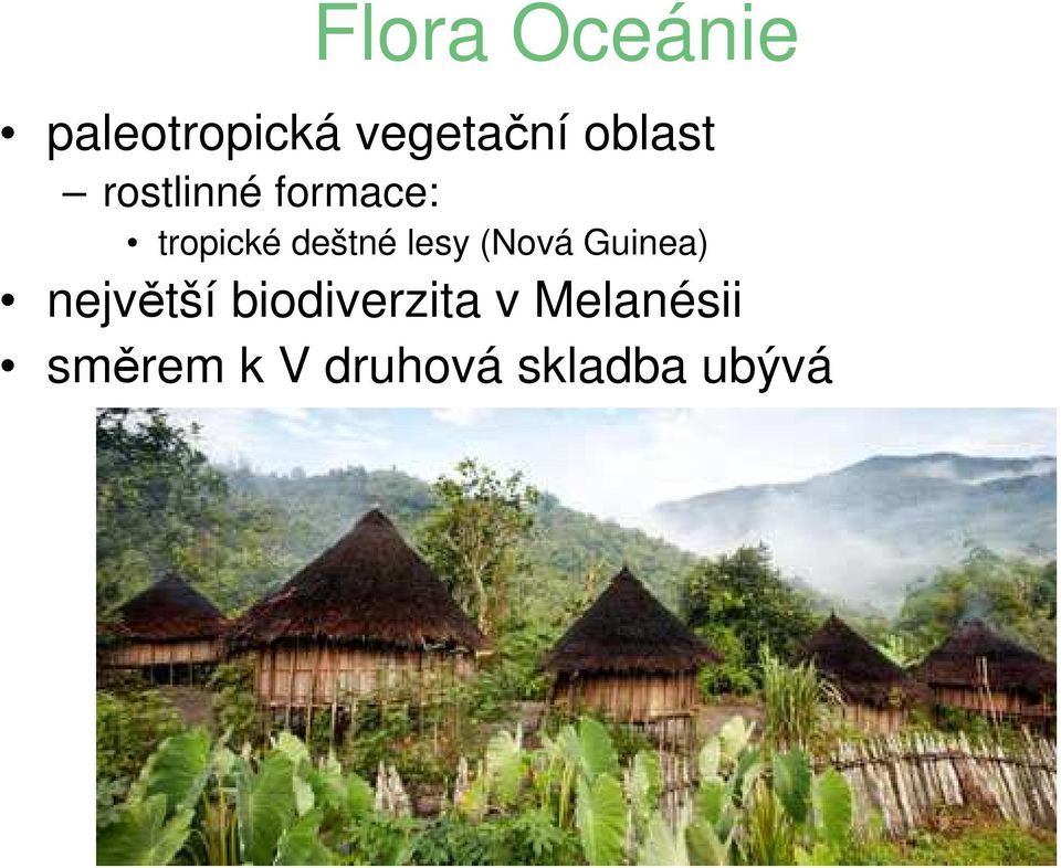 lesy (Nová Guinea) největší biodiverzita