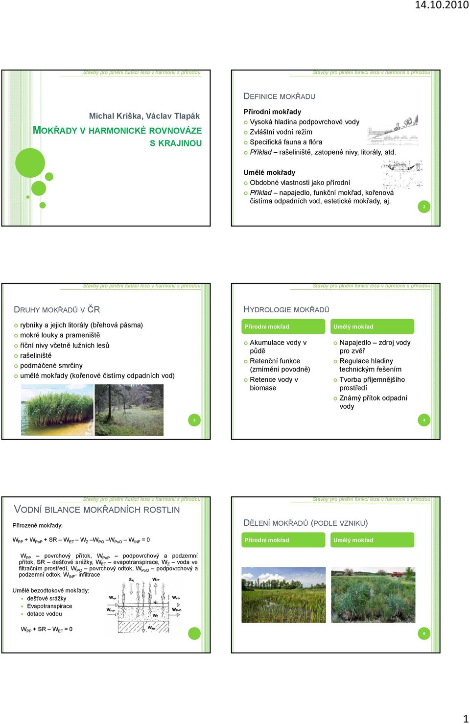 2 DRUHY MOKŘADŮ V ČR HYDROLOGIE MOKŘADŮ rybníky a jejich litorály (břehová pásma) mokré louky a prameniště říční nivy včetně lužních lesů rašeliniště podmáčené smrčiny umělé mokřady (kořenové