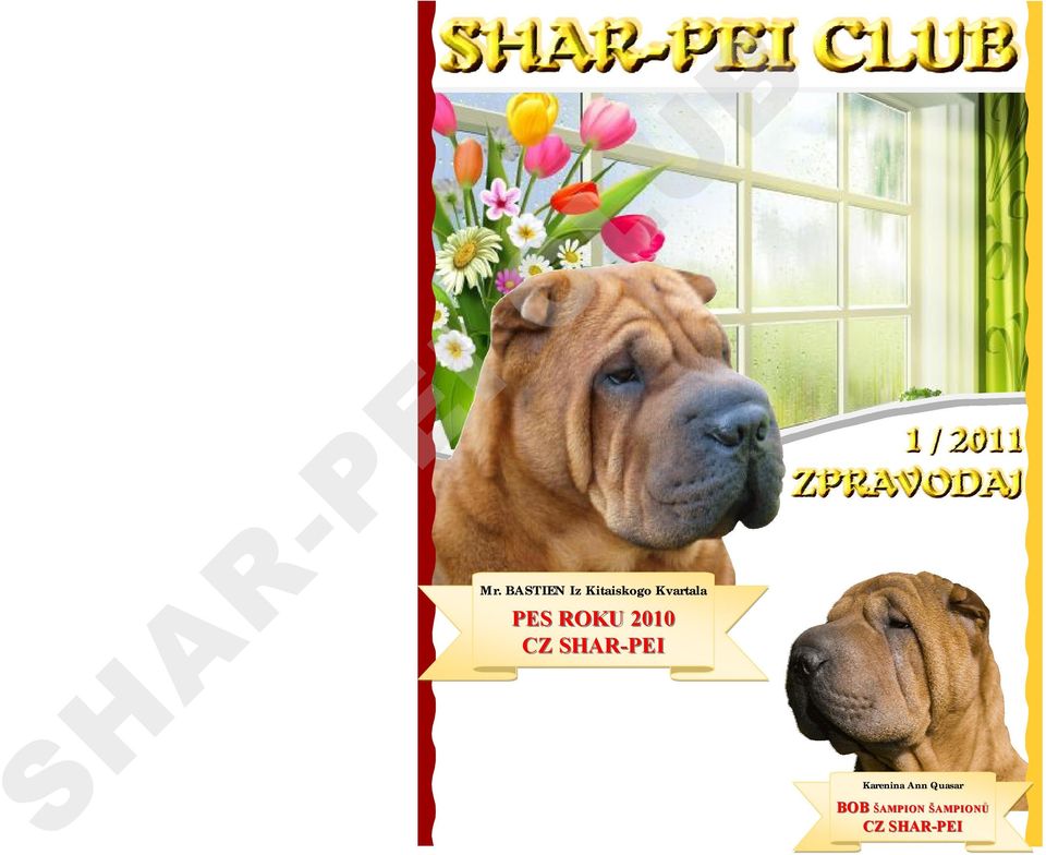 SHAR-PEI Karenina Ann Quasar