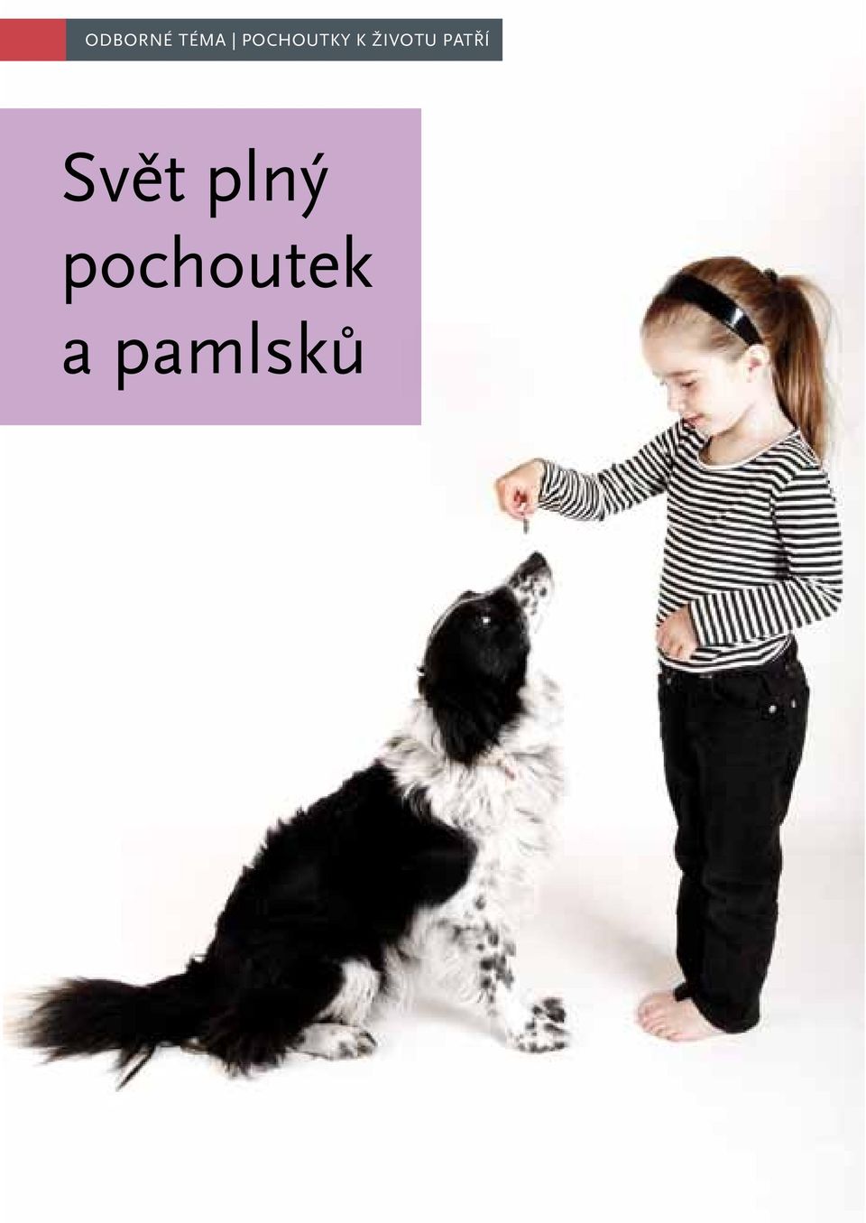 pochoutek a pamlsků 10