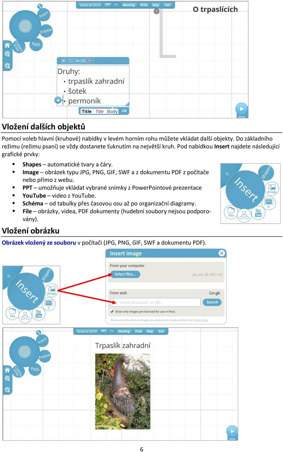Image obrázek typu JPG, PNG, GIF, SWF a z dokumentu PDF z počítače nebo přímo z webu.