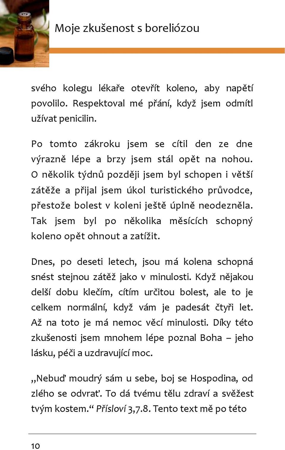 O několik týdnů později jsem byl schopen i větší zátěže a přijal jsem úkol turistického průvodce, přestože bolest v koleni ještě úplně neodezněla.