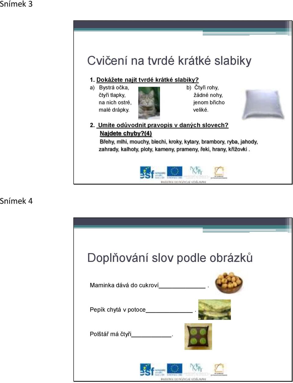 Umíte odůvodnit pravopis v daných slovech? Najdete chyby?