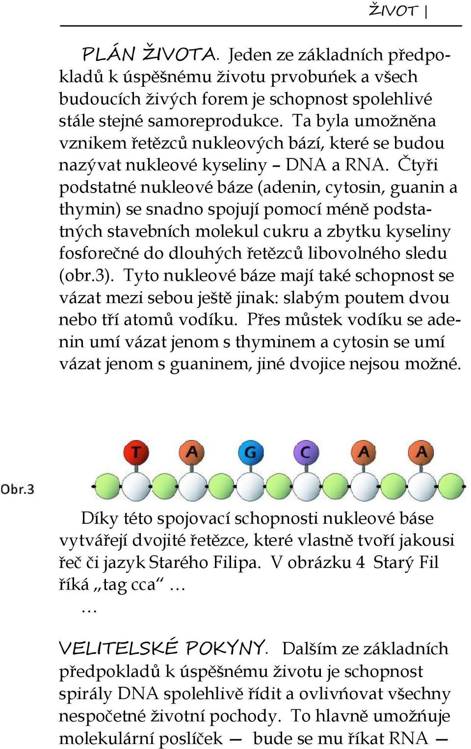 Čtyři podstatné nukleové báze (adenin, cytosin, guanin a thymin) se snadno spojují pomocí méně podstatných stavebních molekul cukru a zbytku kyseliny fosforečné do dlouhých řetězců libovolného sledu