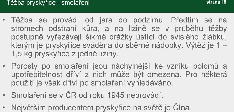 pryskyřice sváděna do sběrné nádobky. Výtěž je 1 1,5 kg pryskyřice z jedné liziny.