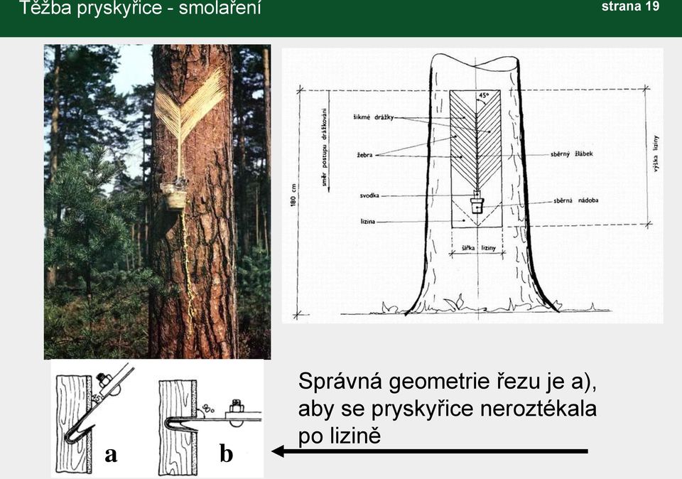 Správná geometrie řezu je