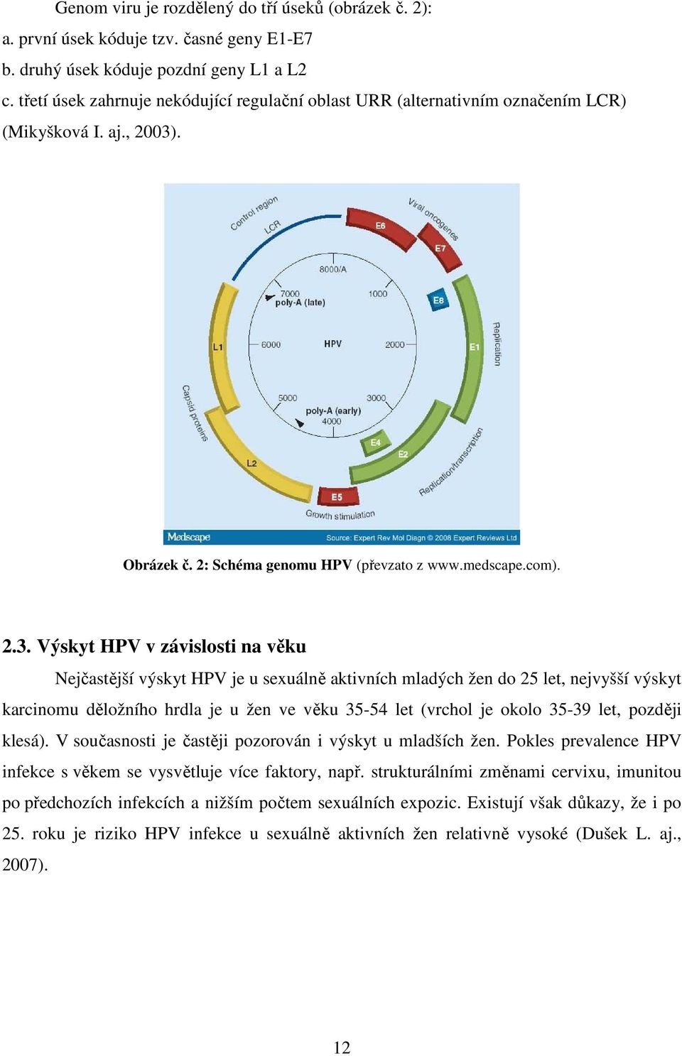 . Obrázek č. 2: Schéma genomu HPV (převzato z www.medscape.com). 2.3.