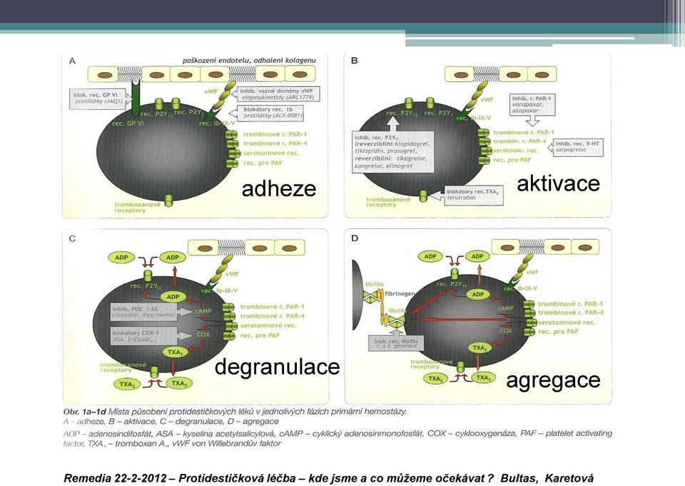 Protidestičková léčba kde jsme