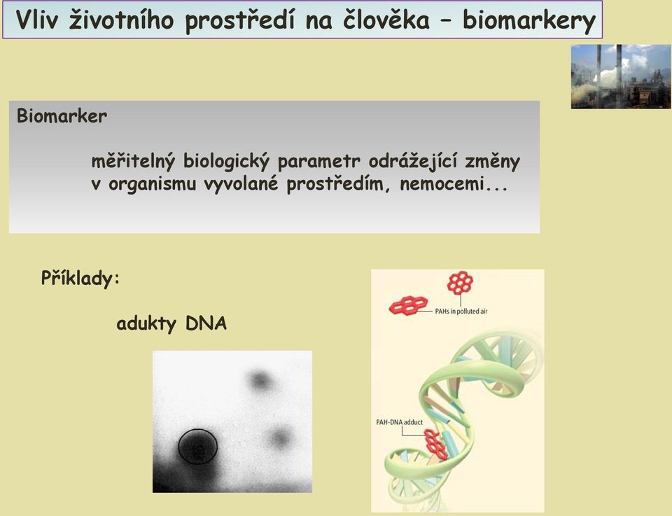 parametr odrážející změny v organismu