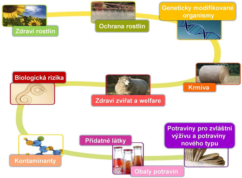 zvířat a welfare Krmiva Přídatné látky Potraviny pro