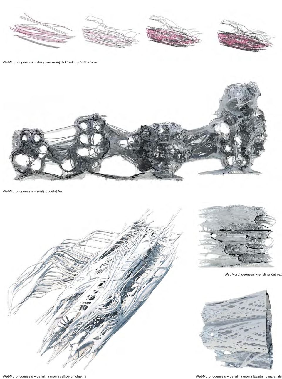 svislý příčný řez WebMorphogenesis detail na úrovni