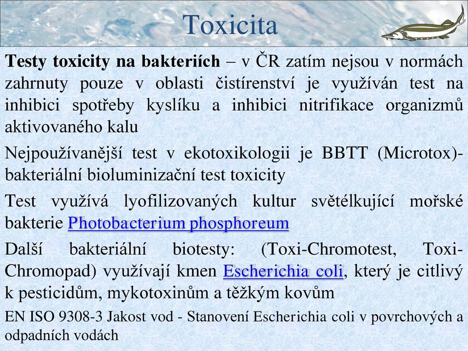 lyofilizovaných kultur světélkující mořské bakterie Photobacterium phosphoreum Další bakteriální biotesty: (Toxi-Chromotest, Toxi- Chromopad) využívají