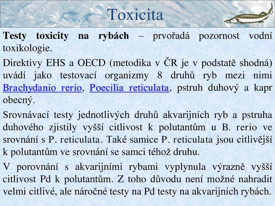 kapr obecný. Srovnávací testy jednotlivých druhů akvarijních ryb a pstruha duhového zjistily vyšší citlivost k polutantům u B. rerio ve srovnání s P. reticulata.